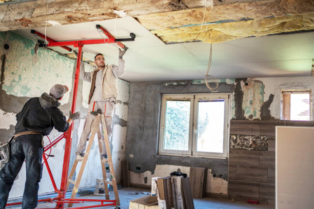 Best Insulation Inspection Services  in Lindenhurst, IL