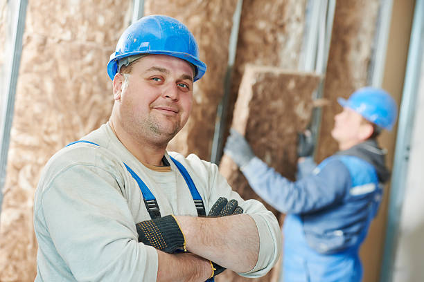 Best Insulation Removal  in Lindenhurst, IL