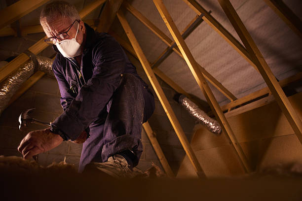 Insulation Repair Services in Lindenhurst, IL